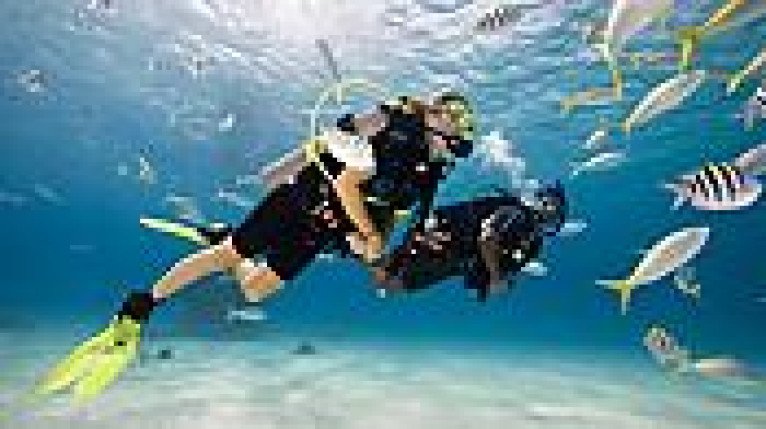 Shore Excursions & Guided Tours
