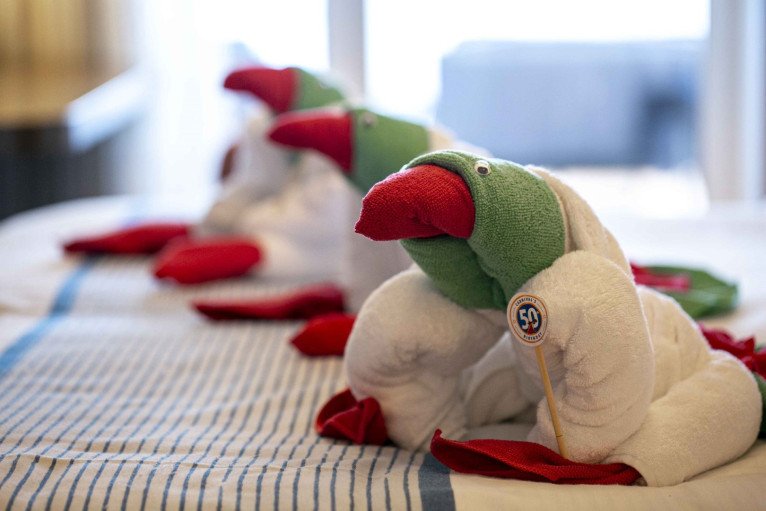 Towel Animal Theatre